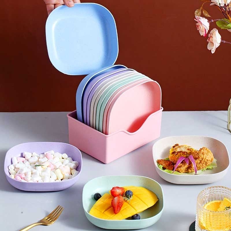 10 Pieces Plate Set with Holder (Random Color)