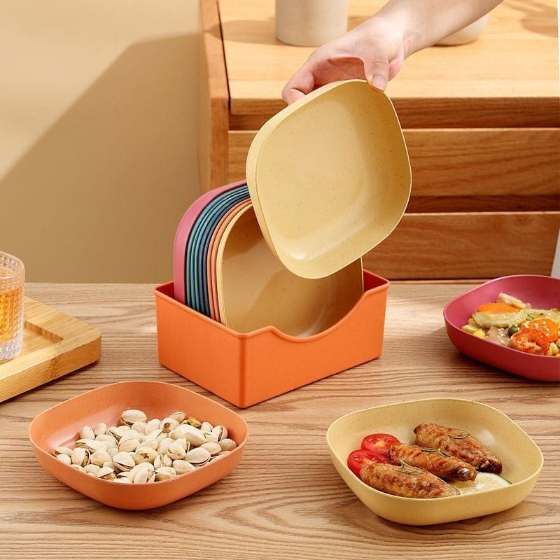 10 Pieces Plate Set with Holder (Random Color)