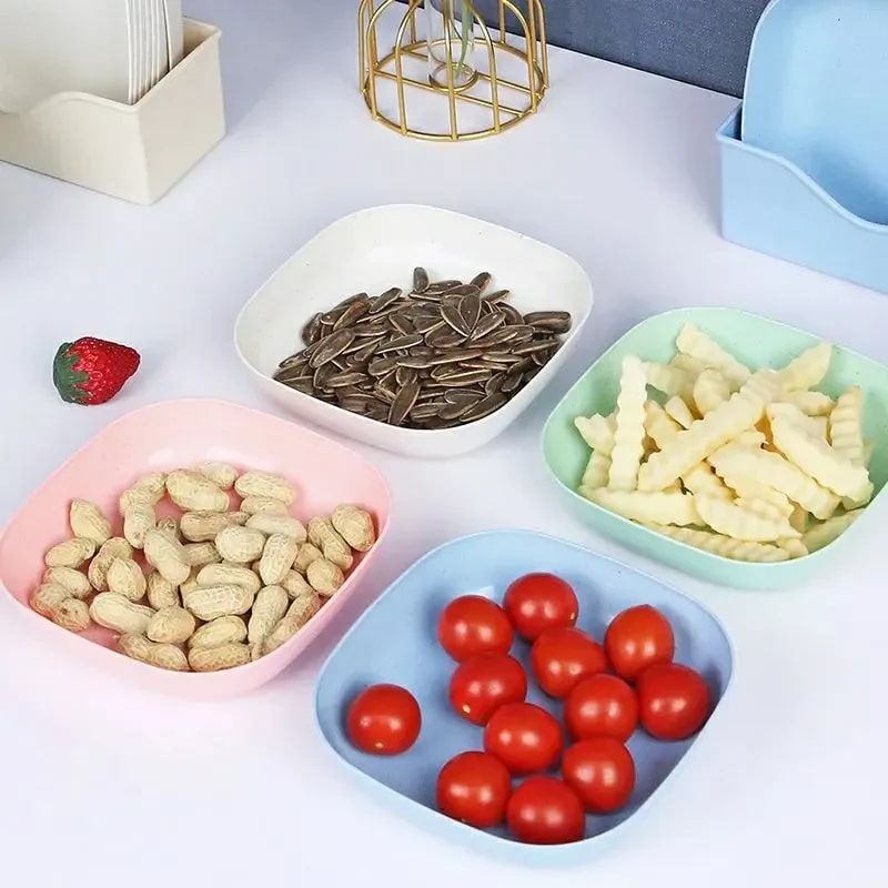 10 Pieces Plate Set with Holder (Random Color)