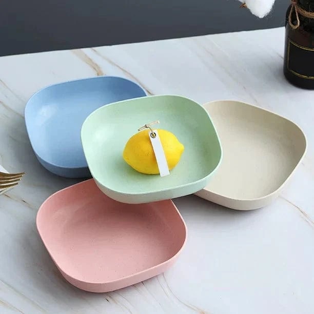 10 Pieces Plate Set with Holder (Random Color)