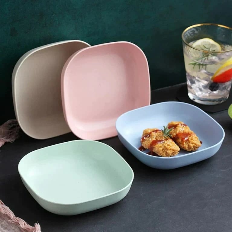 10 Pieces Plate Set with Holder (Random Color)